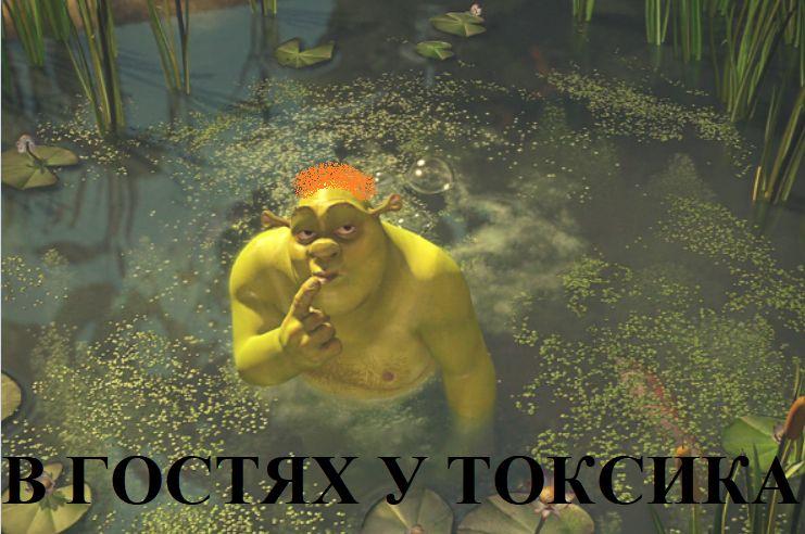 Интервью с токсиком. - Изображение 10 Интервью с токсиком. - Изображение 10