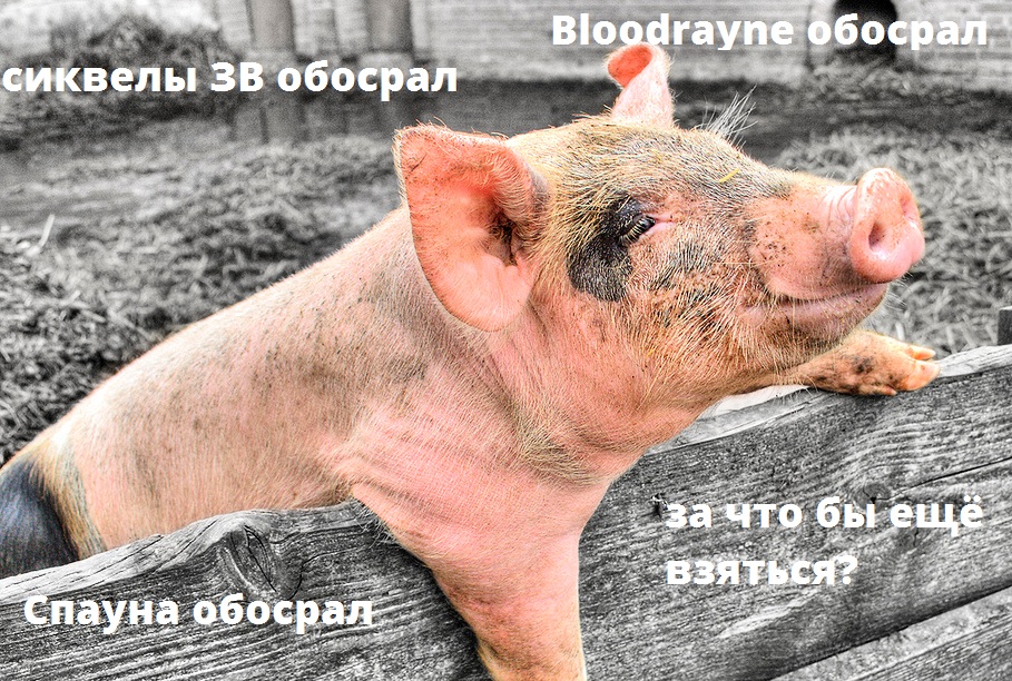 МЕМуары Воплестана. - Изображение 12 МЕМуары Воплестана. - Изображение 12